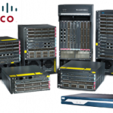 Server / Rent